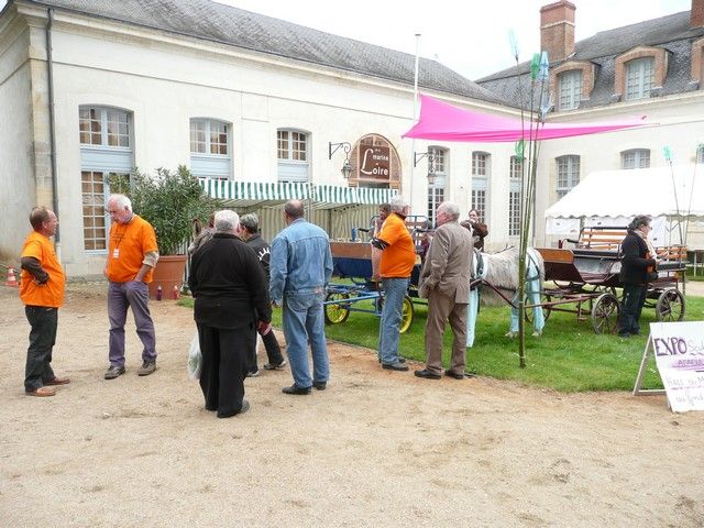 rodho 2013 (93).jpg